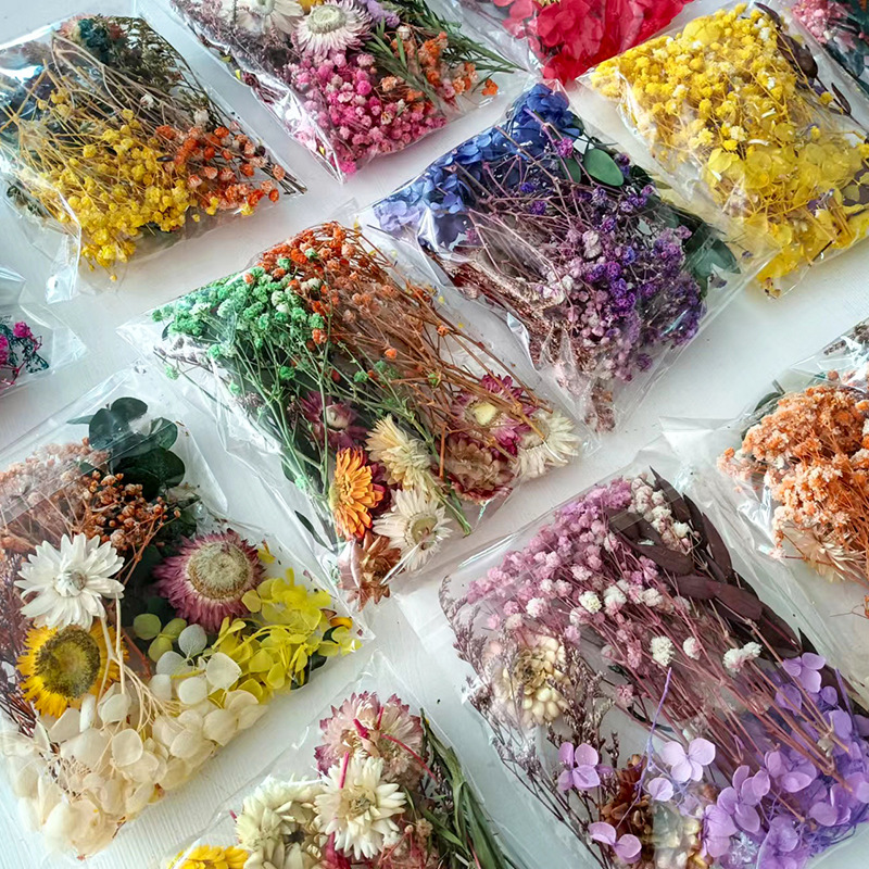 1 Packung verschiedene getrock – Embellish Craft Bewertung und Preis